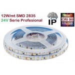 Tira LED 5 mts Flexible 24V 60W 600 Led SMD 2835 IP65, Serie Profesional Tira LED 5 mts Flexible 24V 60W 600 Led SMD 2835 IP65, Serie Profesional